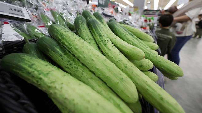 일부 사람이 오이와 고수를 못 먹는 이유가 '민감한 유전자' 때문이라는 연구 결과가 나왔다. /사진=뉴시스