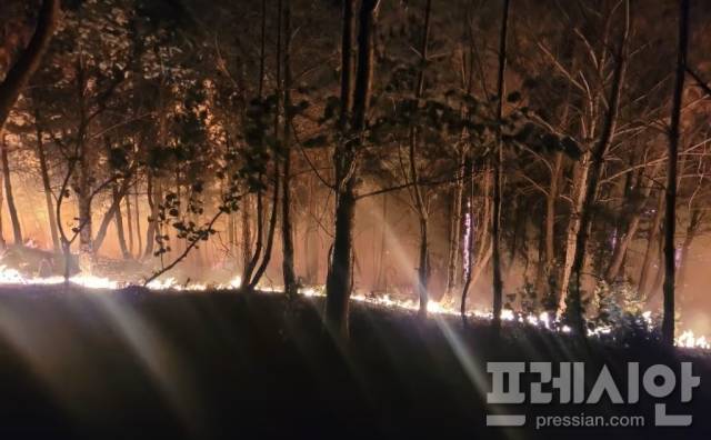 ▲11일 오후 9시 23분께 경북 포항시 북구 흥해읍 칠포리 곤륜산 정상 부근에서 원인을 알 수 없는 불이 났다.ⓒ독자 제공