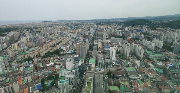 고층 건물이 즐비한 제주시 연동 도심 전경.