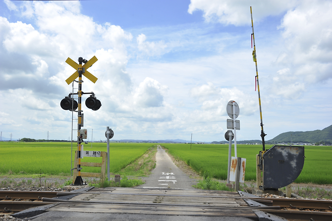 image.png 일본사는 펨붕이의 일본 교통법규에 대해 알아보자!