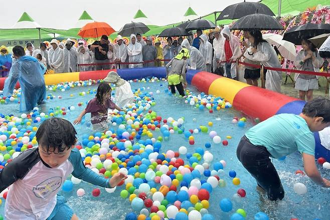 13일 전북 고창에서 열린 ‘2025 고창 갯벌축제’ 어린이 참가자들이 맨손으로 장어를 잡는 체험을 하고 있다. 고창군 제공