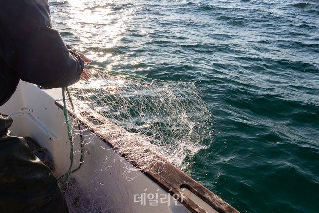 어부가 그물을 걷어올리고 있다. ⓒ게티이미지뱅크