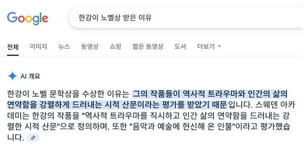 ▲ 구글 검색 AI오버뷰 예시화면.