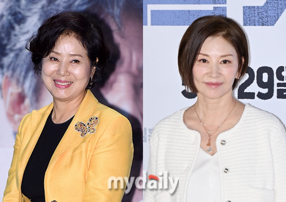 배우 선우용여, 이미숙/마이데일리 DB