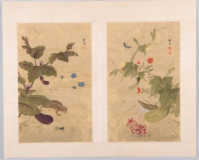 복원된 겸재 정선 화훼영모화첩 중 '하마가자'(두꺼비와 가지. 왼쪽)와 '과전전계'(외밭의 참개구리). 조선 18세기, 비단에 색 각 31.0×18.8cm, 간송미술문화재단 소장 *재판매 및 DB 금지