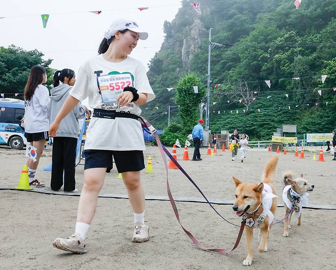 15일 경북 울릉군 울릉읍 울릉문화예술체험장에서 열린 독도지키기 제20회 울릉도 국제 마라톤대회에서 한 참가자가 반려견들과 결승선을 통과하고 있다.