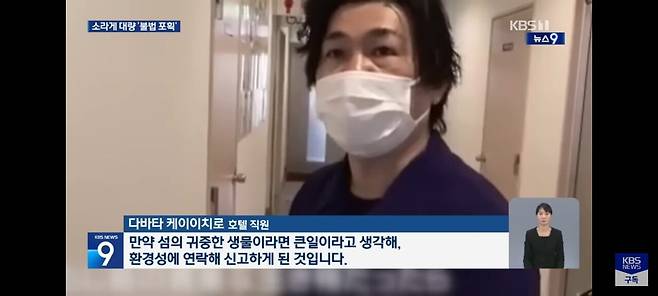 IMG_8961.jpeg "가방에서 \'바스락\'"… 일본서 소라게 5,200마리 밀반출 중국인 검거