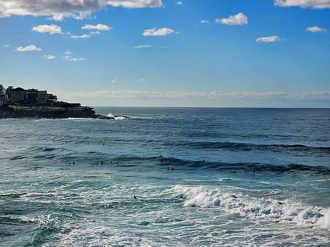 가을바다를 즐기는 서퍼들(사진=정상미)