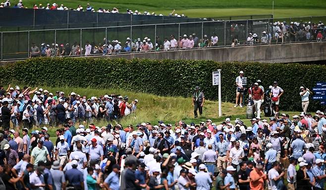15일(한국시간) US오픈이 열린 미국 펜실베이니아주 피츠버그 인근의 오크몬트 컨트리클럽에 모인 수많은 골프팬이 ‘지옥 코스’에서 펼쳐지는 승부를 관람하고 있다. USGA는 대회 기간 25만명에 달하는 사람들이 이곳을 방문할 것으로 예상했다. AFP연합뉴스