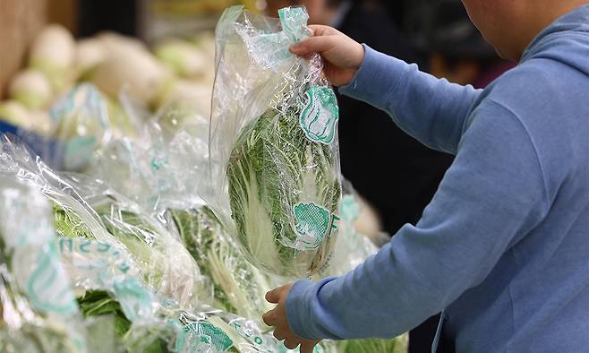 한 마트에서 한 시민이 배추를 고르고 있다. 연합뉴스