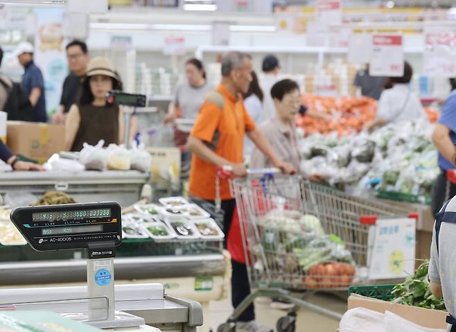 한 대형마트에서 장을 보는 시민들의 모습. 2025.6.15 사진=연합뉴스.