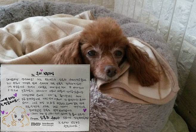 심용희 한국마즈 수의사가 은비 보호자에게 보낸 손편지 ⓒ 뉴스1