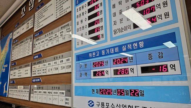 경북 포항시 구룡포 수업에 전년대비 위판 실적이 기록되고 있다. 올해 위판량은 5월 현재 지난해보다 16억원 가량 줄었다. ⓒ데일리안 장정욱 기자
