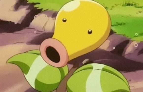 포켓몬스터 캐릭터 모다피. 애니메이션 ‘포켓몬스터’