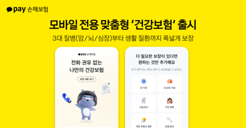 이미지=카카오페이손해보험