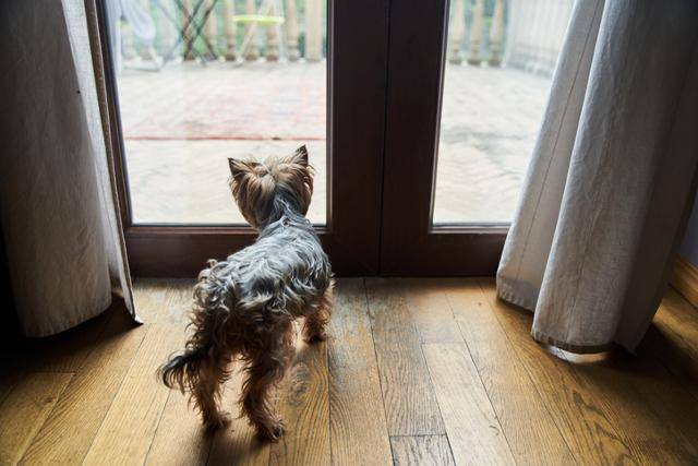 게티이미지뱅크