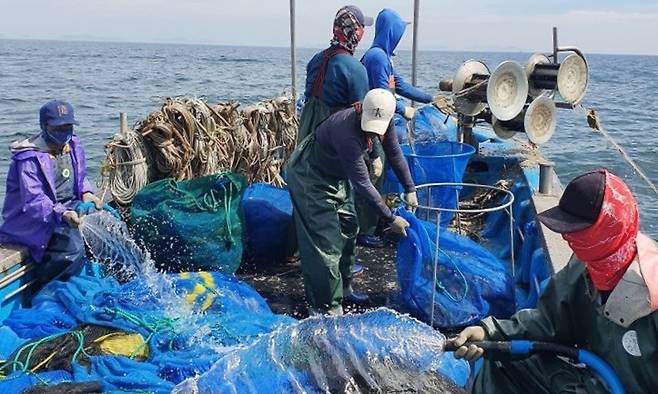 전북 군산시 계절근로자들이 서해에서 어패류 채취작업을 하고 있다. 군산시 제공