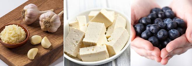 마늘, 두부, 블루베리. 클립아트코리아 제공