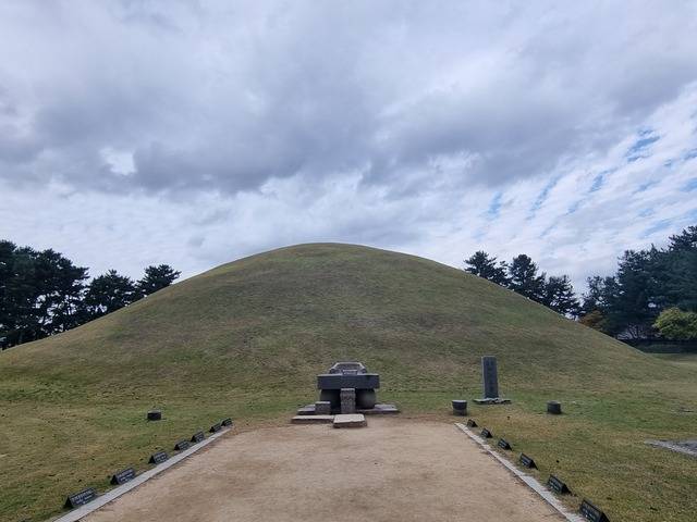 대릉원 내부에 다시 돌담으로 둘러 보호하고 있는 미추왕릉.