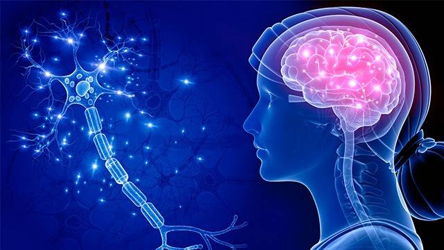 다발성경화증은 면역계가 중추신경계의 수초를 침범해 손상시키는 자가면역 질환이다|출처: 클립아트코리아