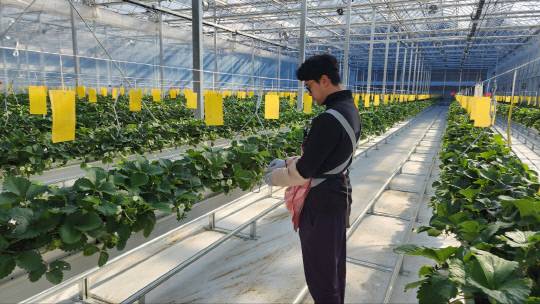 스마트경영실습임대농장모습.영동군제공