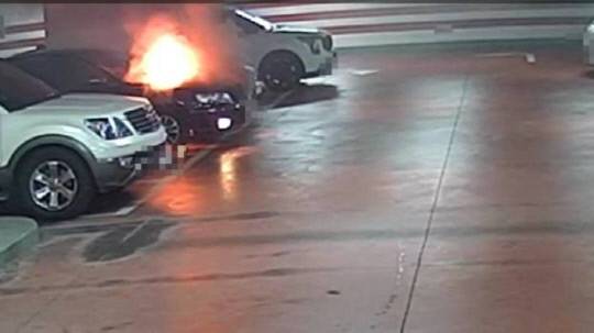 대전소방본부 제공