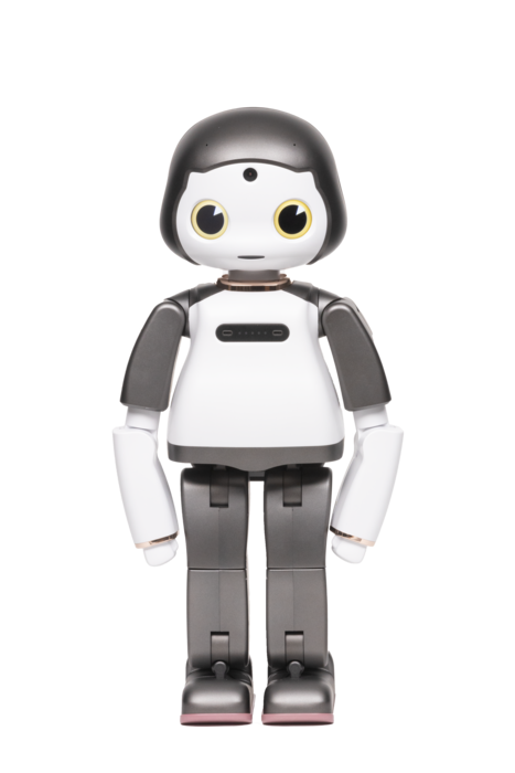 AI 교육로봇 리쿠(LiKU) 제품 사진