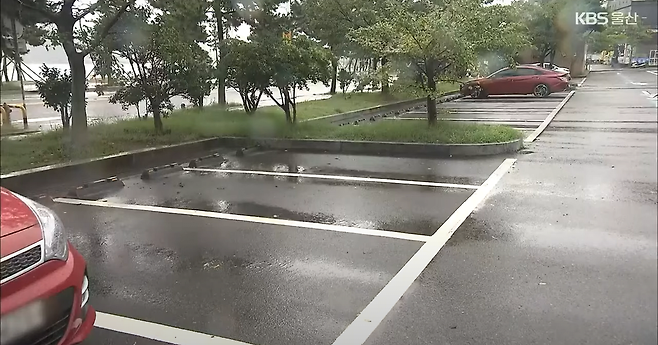 image.png 공영주차장 주차요금 시간당 천원 받으니까 생긴 일 ㄷㄷㄷ.NEWS 공영주차장 주차요금 시간당 천원 받으니까 생긴 일 ㄷㄷㄷ.jpg