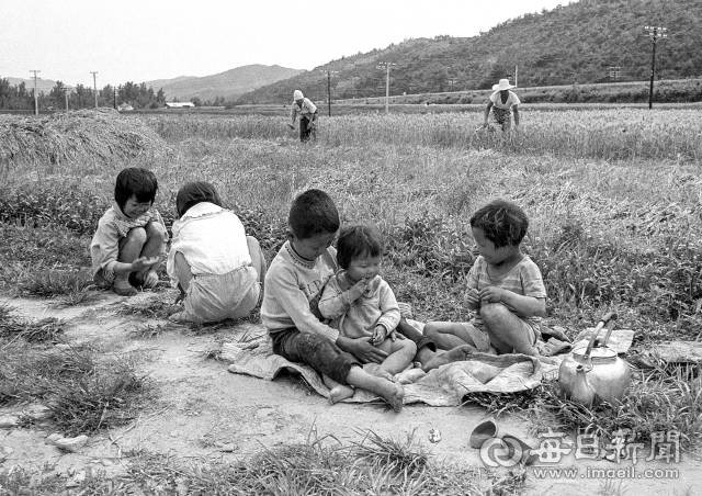 1960년대 초 경북의 한 농촌에 보리베기가 한창인 가운데 아이들이 들판에 따라 나와 점심을 기다리며 놀고 있다. 사진=매일아카이빙센터