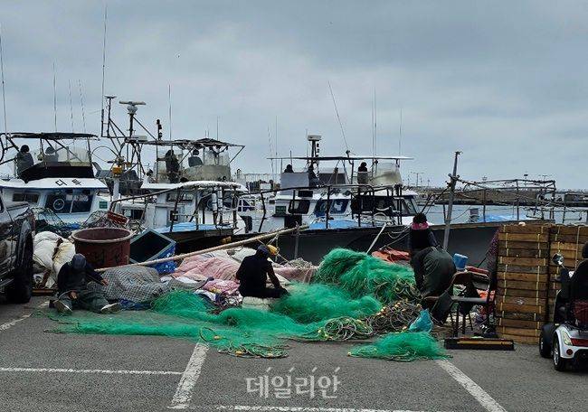 경북 포항시 구룡포항에서 어민들이 그물을 손질하고 있다. ⓒ데일리안 장정욱 기자