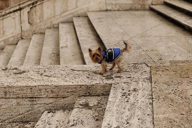 사진=게티이미지코리아