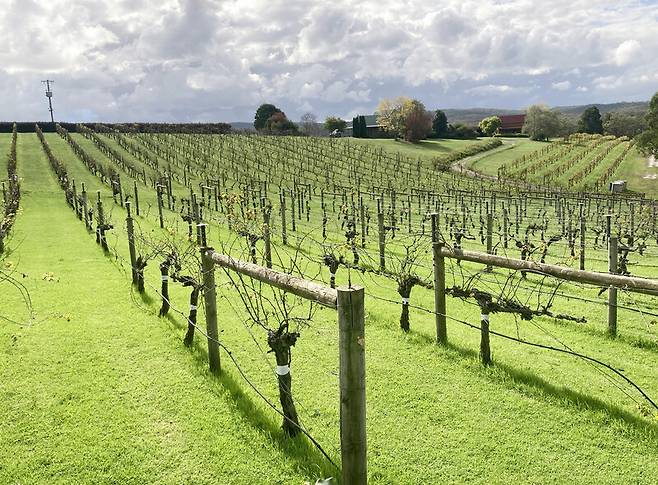 ‘카라정 에스테이트’ 퐁경. 박미향 기자