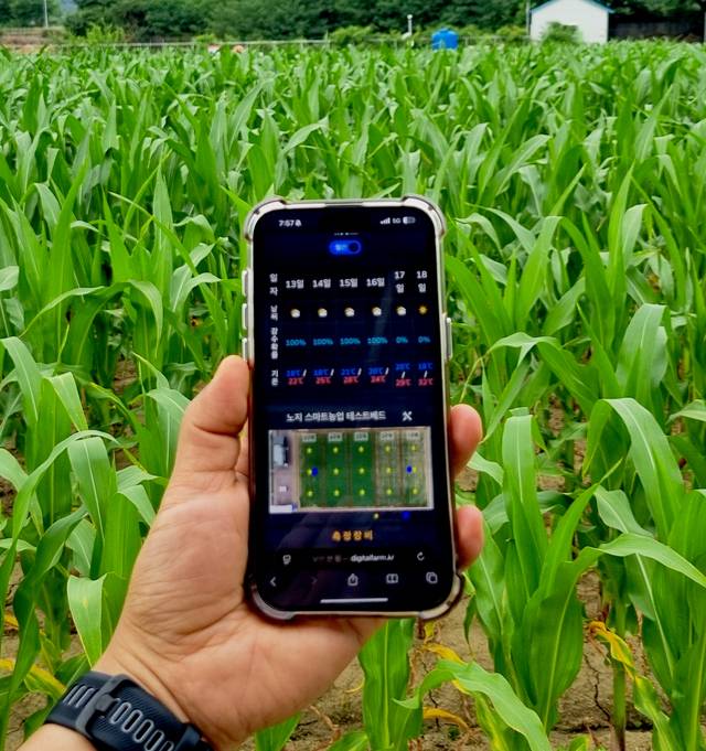 스마트폰 화면에서 토양수분 함량을 확인할 수 있다. 농촌진흥청