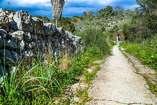 소나무숲이 울창한 해변을 지나 공원 내부로 들어오면 한국에선 볼 수 없는 진기한 나무들과 수많은 새소리들이 반겨준다.