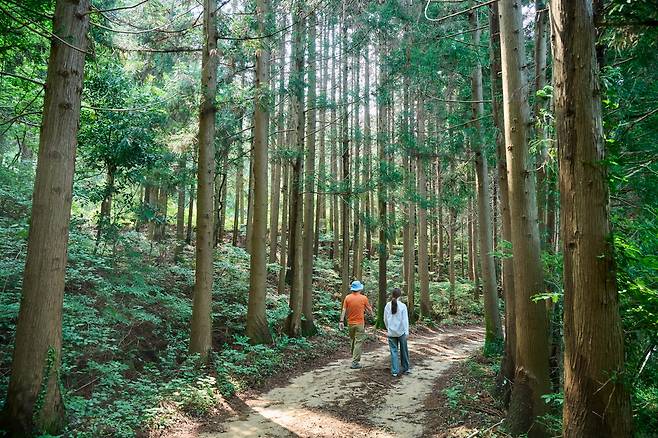 국립천관산자연휴양림