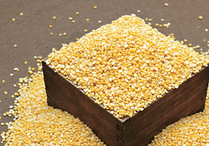 녹두. 자료사진