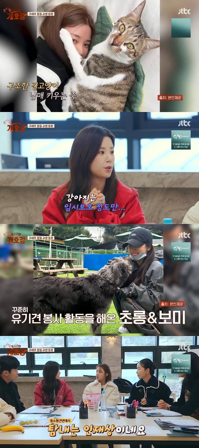 JTBC ‘집 나가면 개호강’ 캡처