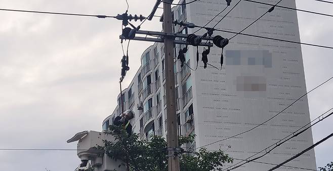 오늘(23일) 저녁 제주시 한 아파트 변압기와 까마귀가 접촉으로 정전이 발생해 복구 작업이 이뤄지는 모습 (사진, 제주소방안전본부)