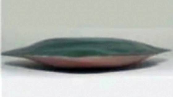 합동참모본부가 지난 22일 공개한 나뭇잎 모양의 북한 지뢰 모습. 사진 합동참모본부