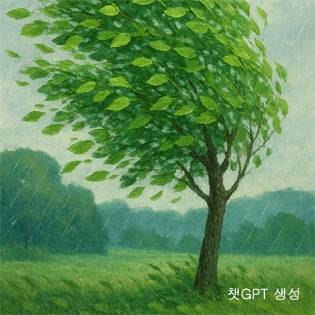 ▲ 흔들리는 나뭇잎