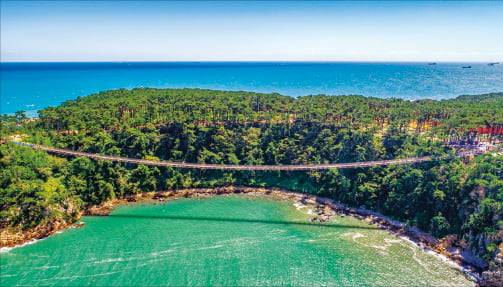 울산 대왕암공원 출렁다리 전경.