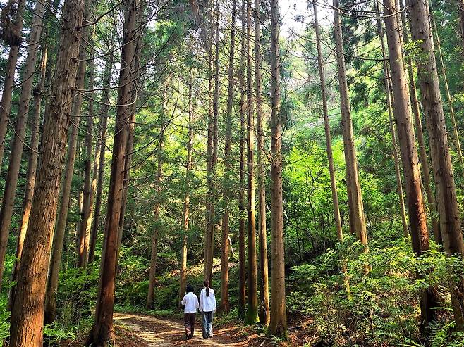 천관산 자연휴양림의 아침
