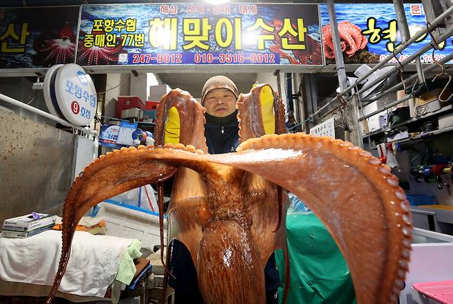 동해안에서 잡히는 대문어의 거대한 위용(?).