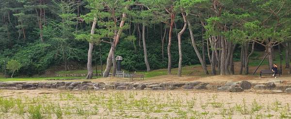 여름철 가족 나들이 물놀이 장소로 솔향에 송림을 걷고,체로 곱게 친 듯한 모래는 발이 사르르 꺼지는 맨말 걷기 좋은 명소다.