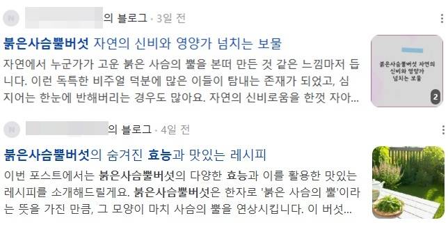(블로그 갈무리)