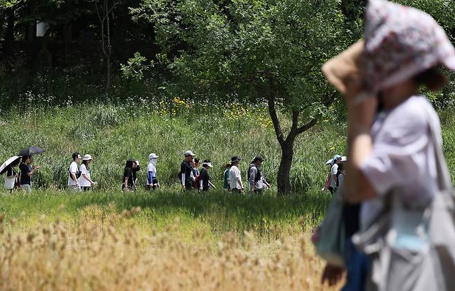 8일 서울 마포구 월드컵천에서 열린 '월드컵천 걷기대회'에서 참가자들이 약 1.4㎞ 구간에 조성된 황금보리밭과 양귀비 꽃길을 따라 걷고 있다. 사진은 기사와 직접적인 관련이 없음. /뉴스1