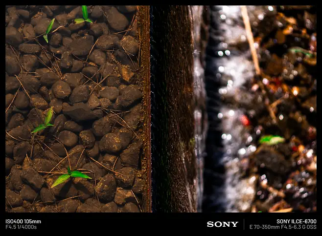 098ef376b38461f520a8d3b706f11a398503c850edc900572b18