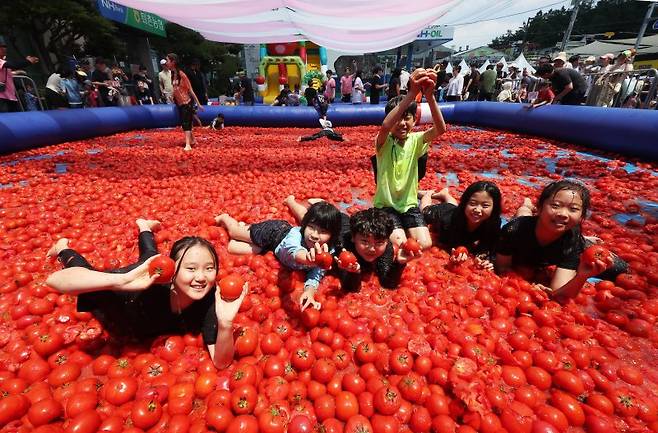 22일 경기도 광주시 퇴촌면 광동로 일원에서 열린 '제23회 퇴촌토마토 거리축제'에서 '황금 토마토를 찾아라' 이벤트에 참가한 어린이들이 토마토 풀장에서 즐거워하고 있다. 연합뉴스