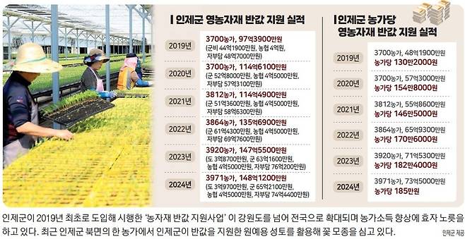 ▲ 인제군이 2019년 최초로 도입해 시행한 ‘농자재 반값 지원사업’ 이 강원도를 넘어 전국으로 확대되며 농가소득 향상에 효자 노릇을 하고 있다. 최근 인제군 북면의 한 농가에서 인제군이 반값을 지원한 원예용 성토를 활용해 꽃 모종을 심고 있다. 인제군 제공