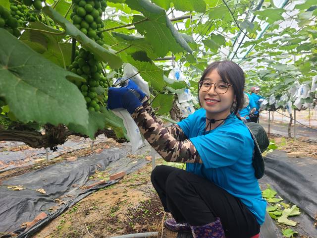 ▲미얀마 출신의 수수잉씨(26)도 "한국의 농업기술이 잘 발달해 있는 것 같다"며 "한국의 농사도 체험하고 다른 나라 친구들과 같이 일을 하니 재미도 있다"고 말했다. ⓒ프레시안